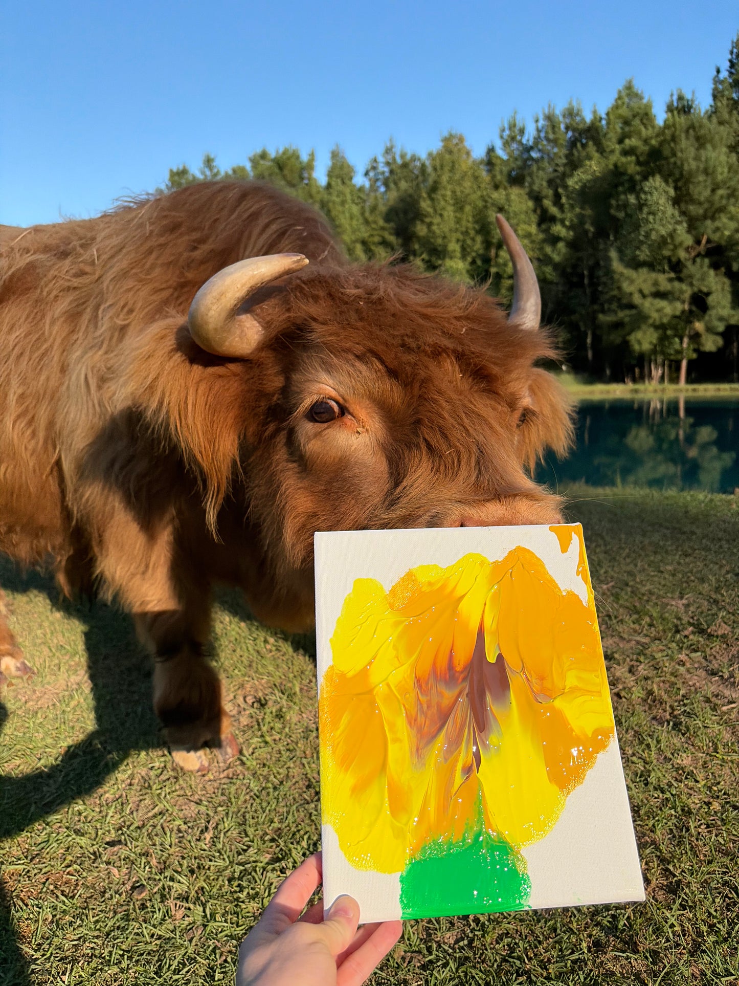 Custom Cow Painting