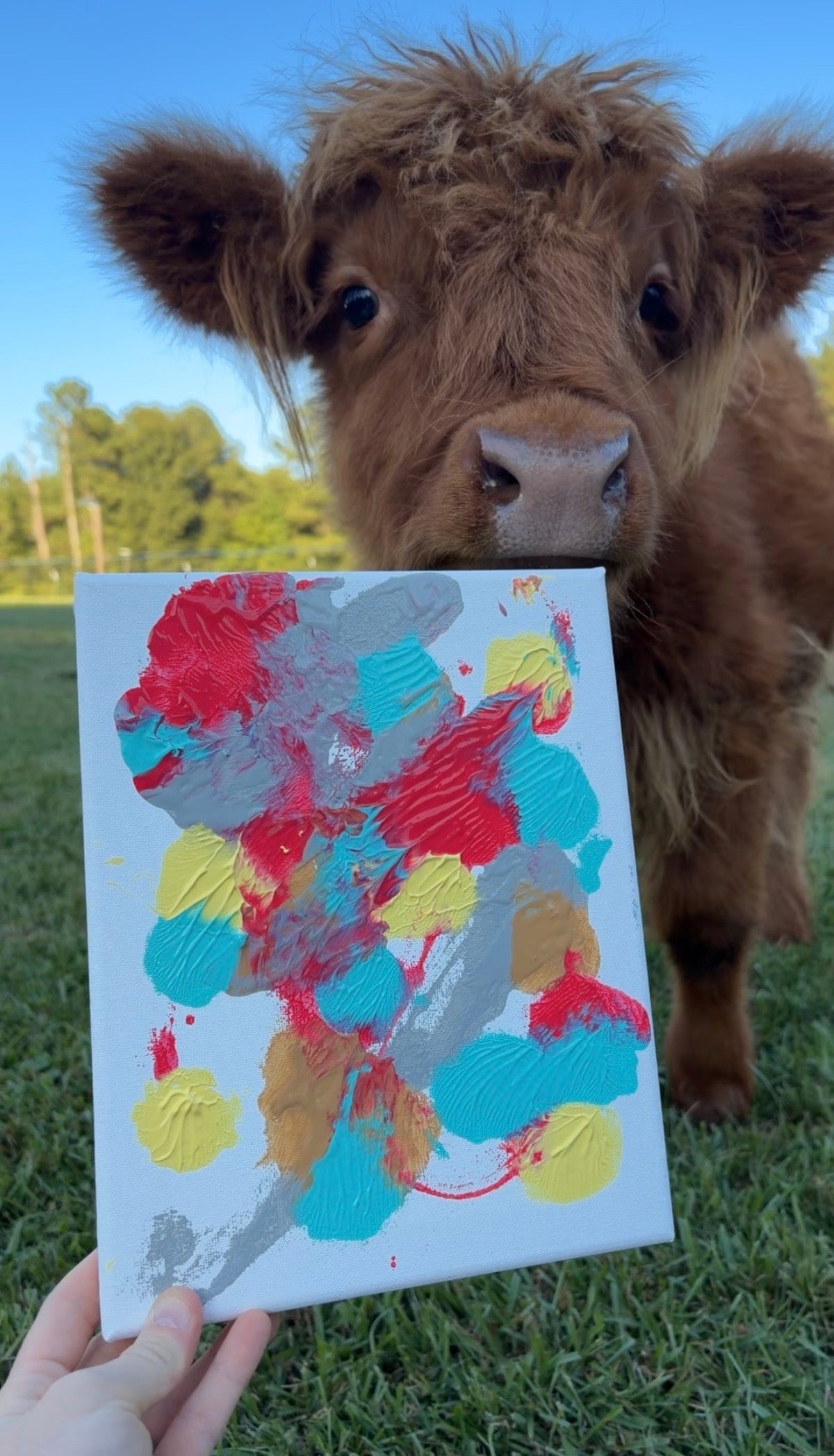 Custom Cow Painting